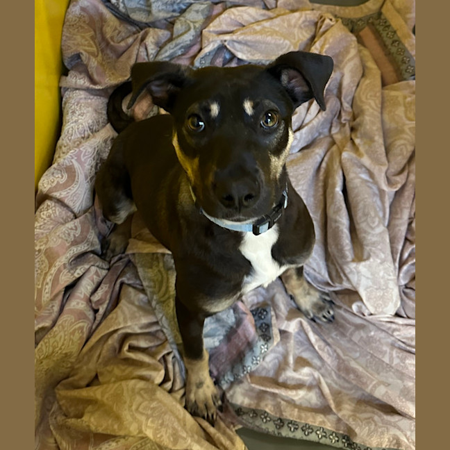 Photo of Lexi