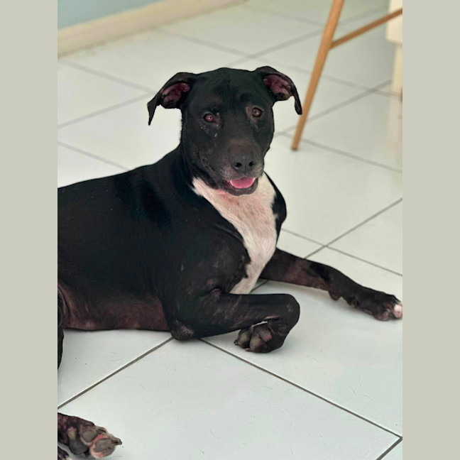 Photo of Roxy