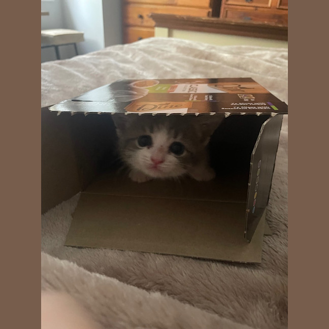 Photo of Minnie Mimi