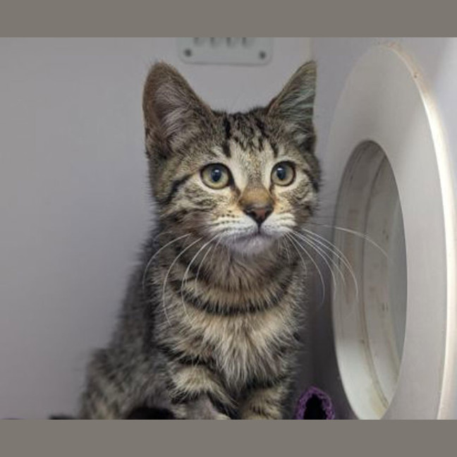 Photo of Ferris Wheel