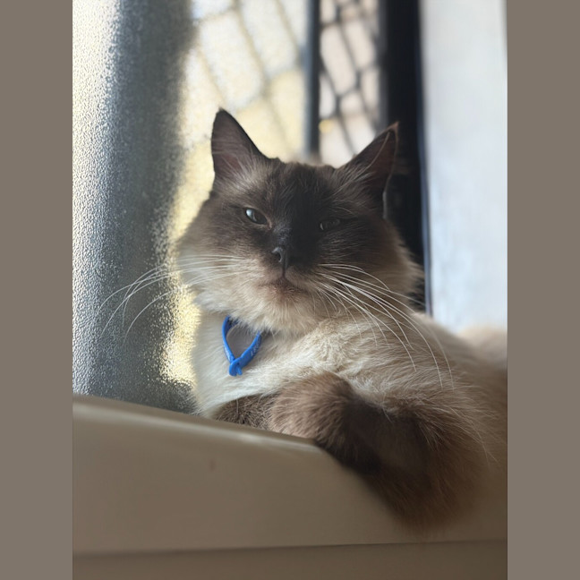 Photo of Winnie