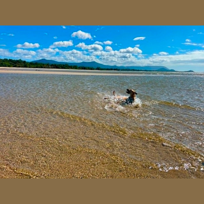 Photo of Nombu