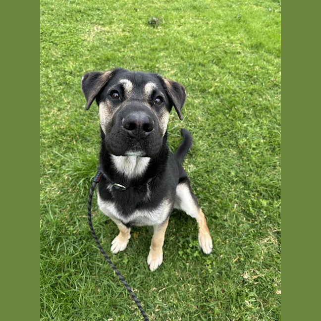 Photo of Monty