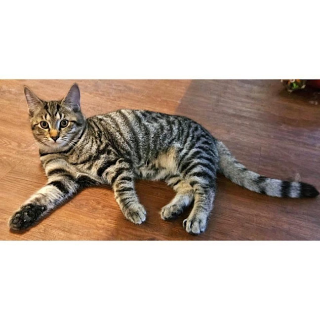 Photo of 11899   Aron