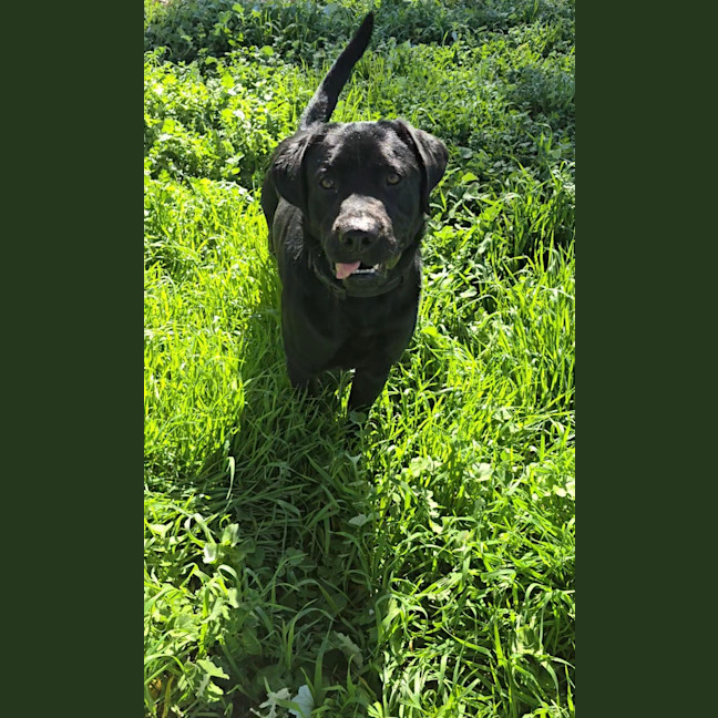 Photo of Rudy