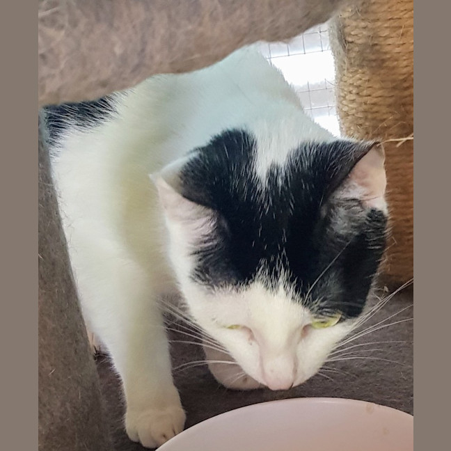 Photo of May   Now At Pet Quarters Broadmeadow