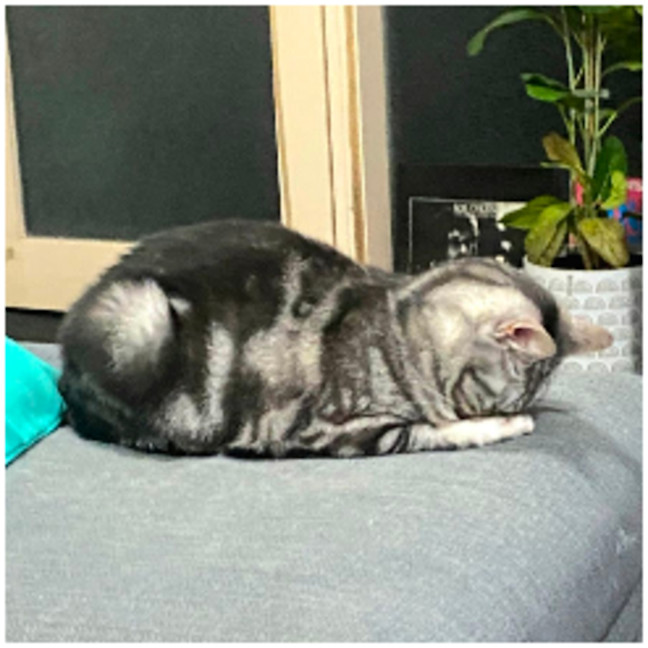 Photo of Sweet, Gentle Hope ♡