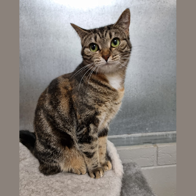 Photo of Little Lady