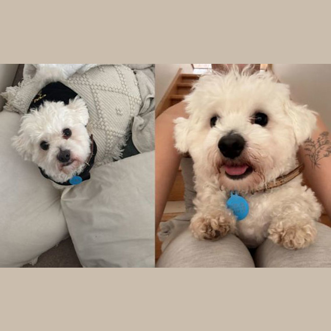 Photo of Max