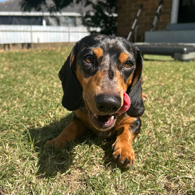 Photo of Charlie