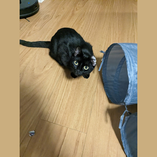 Photo of Betty