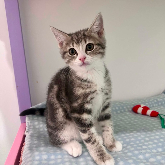 Photo of Charlotte   In Foster Care In Doreen