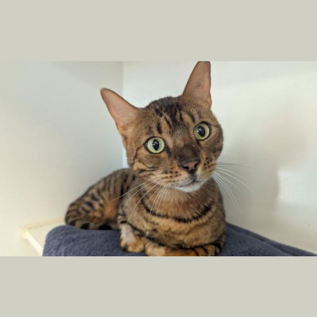 Photo of Tiberius