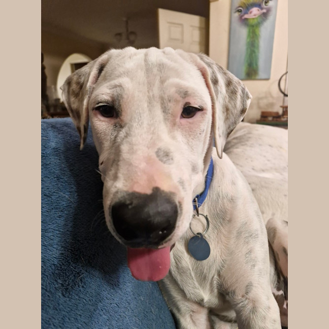 Photo of Asher