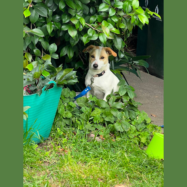 Photo of Bonnie Jrt