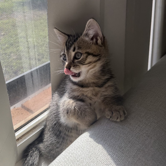 Photo of Lola