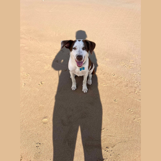 Photo of Pepper