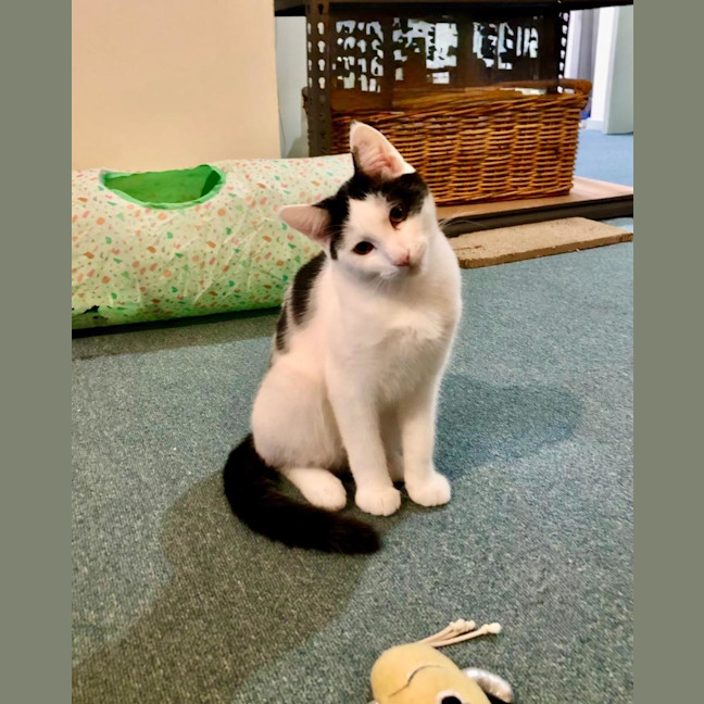 Photo of Jake & Jasper 💙