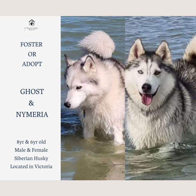 Photo of Ghost & Mirri