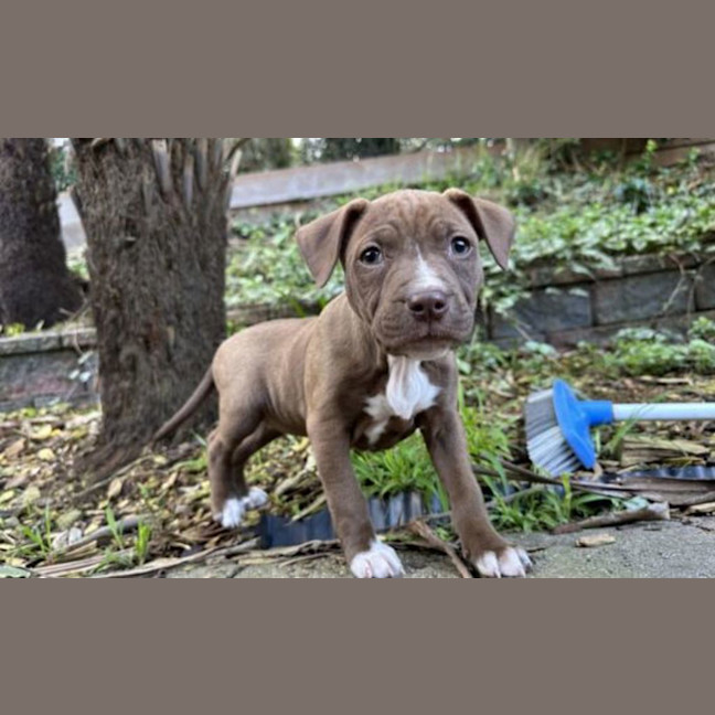 Photo of Molly