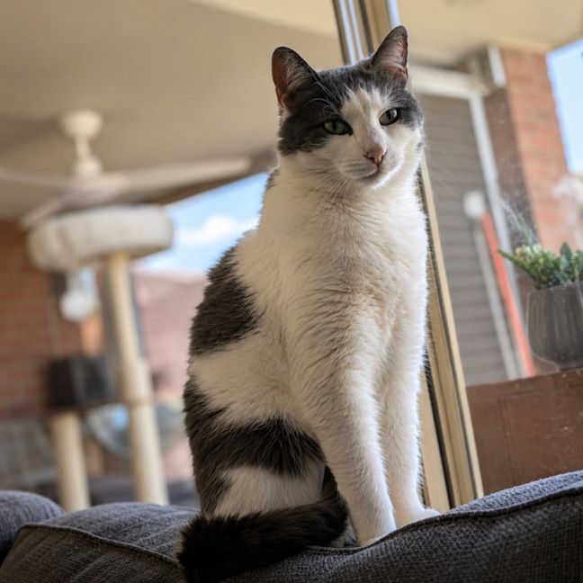 Photo of Macey
