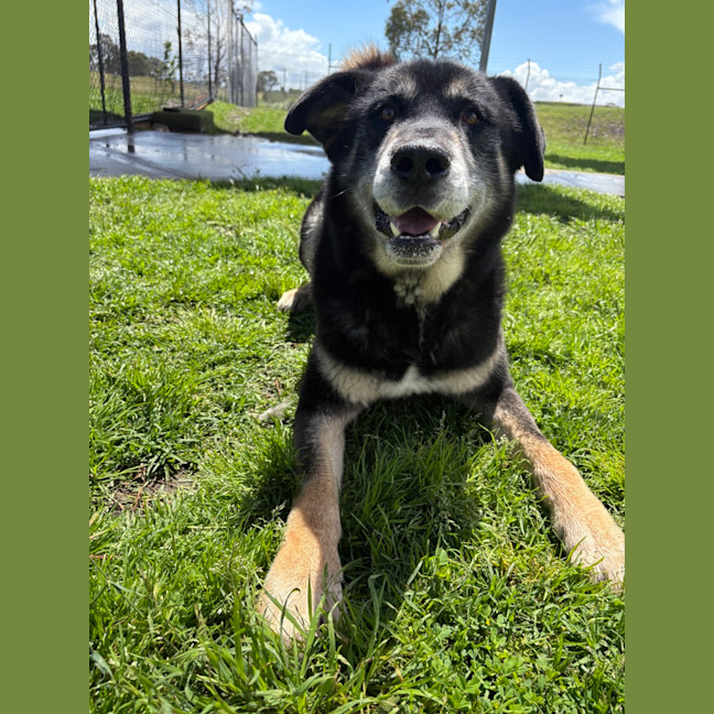 Photo of Zeus 