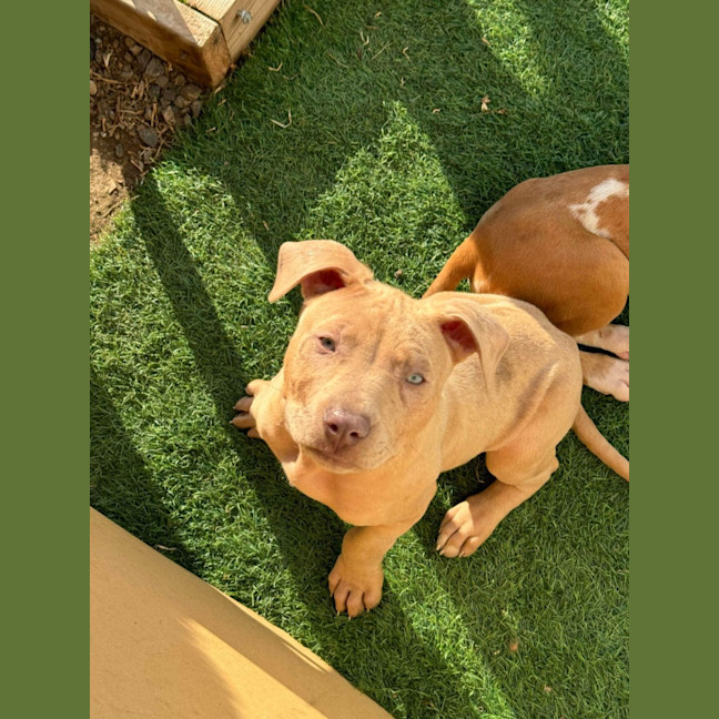 Photo of Bubble O Bill