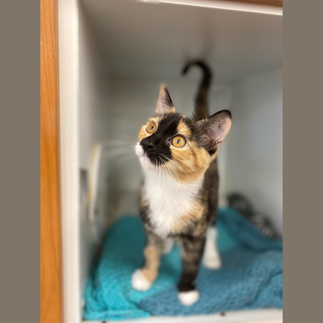 Photo of Molly