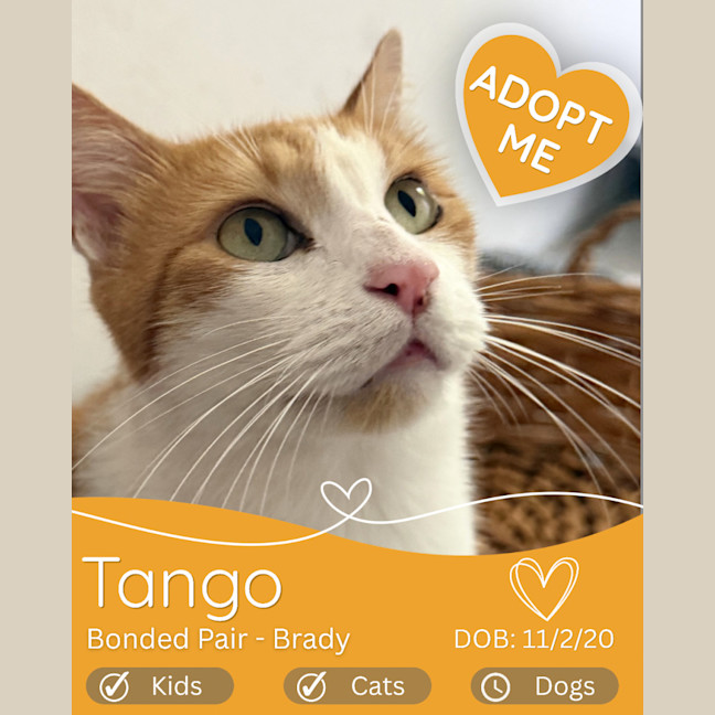 Photo of Tango + Brady