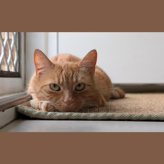 Photo of Annie