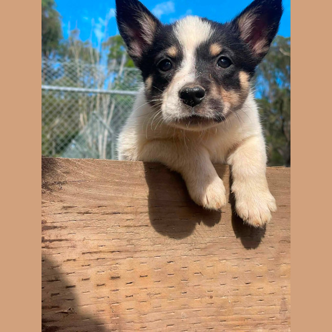 Photo of Lumie