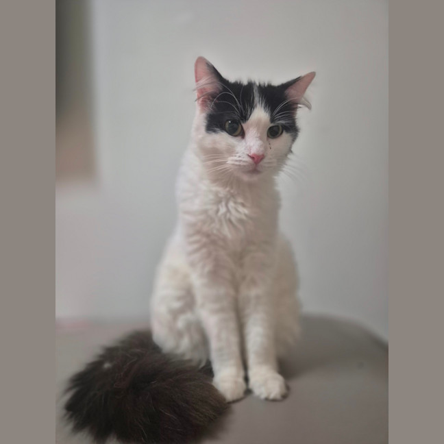 Photo of Daphne 