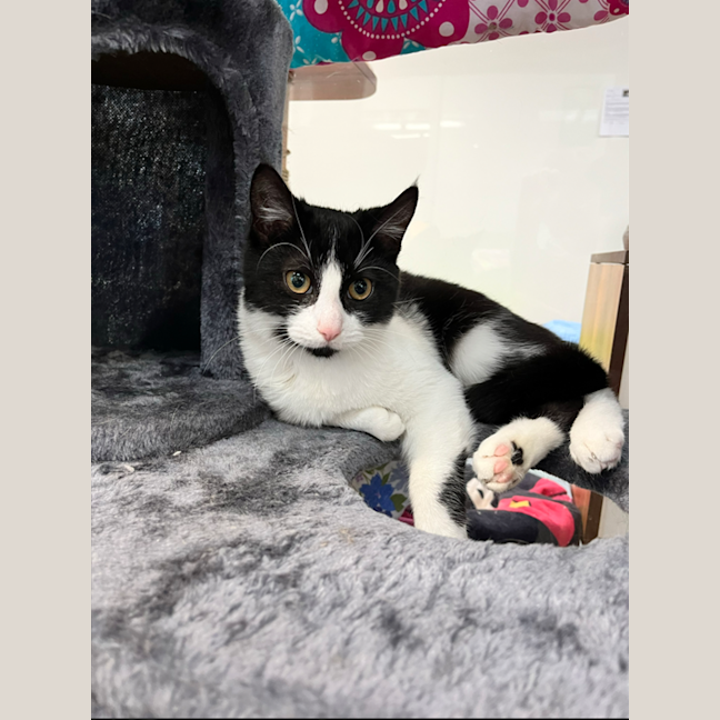 Photo of Kiki