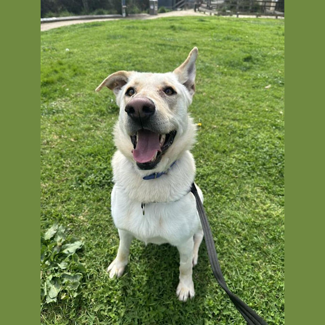 Photo of Duke