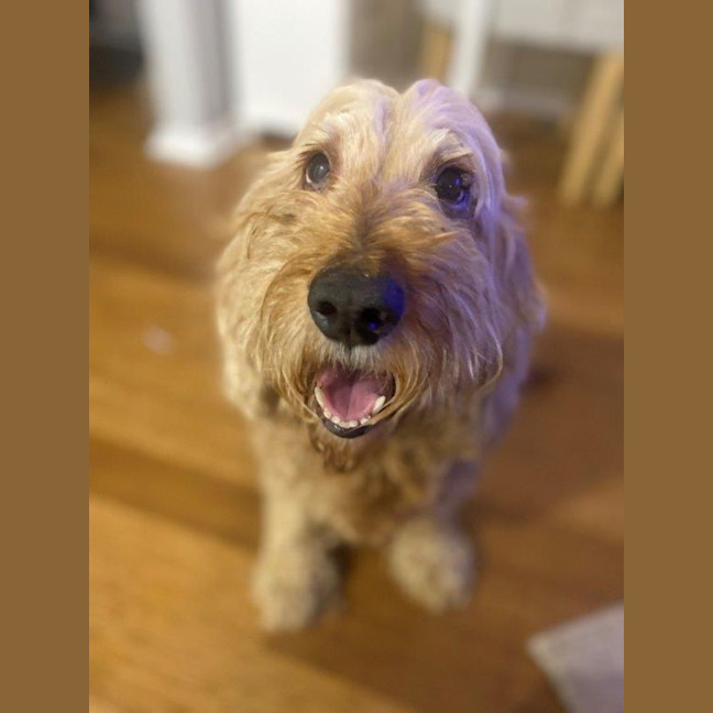 Photo of Shari Jablonski