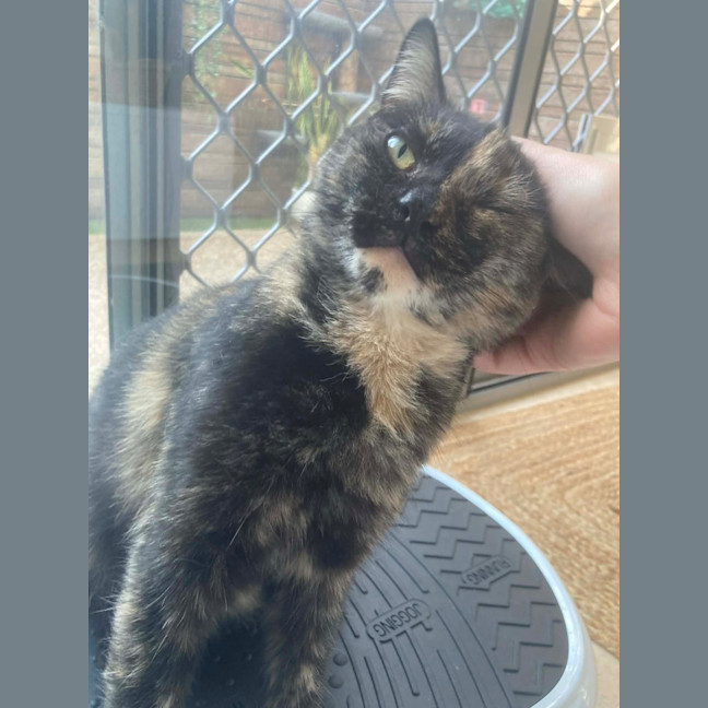 Photo of Chirp Side Park Shopping Centre