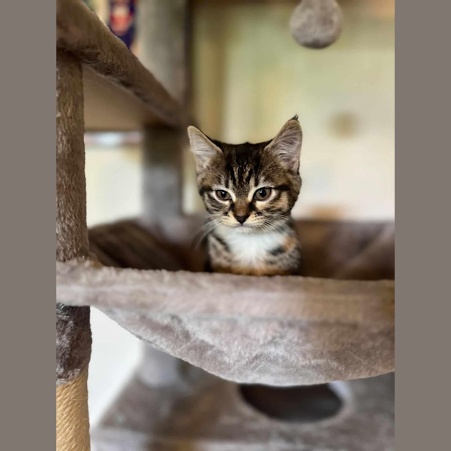 Photo of Evie