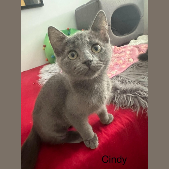 Photo of Cindy