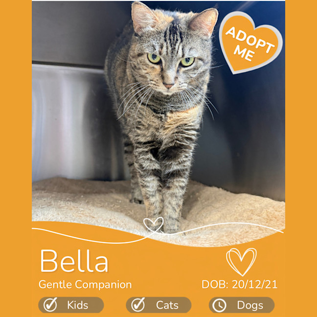 Photo of Bella