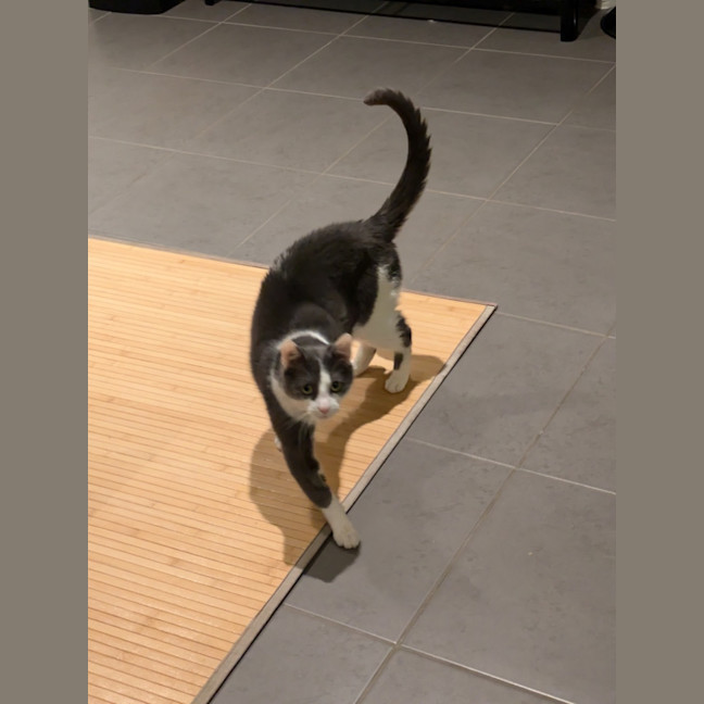 Photo of Max Illingworth