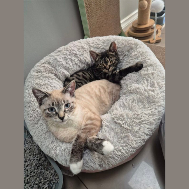 Photo of Pepper 