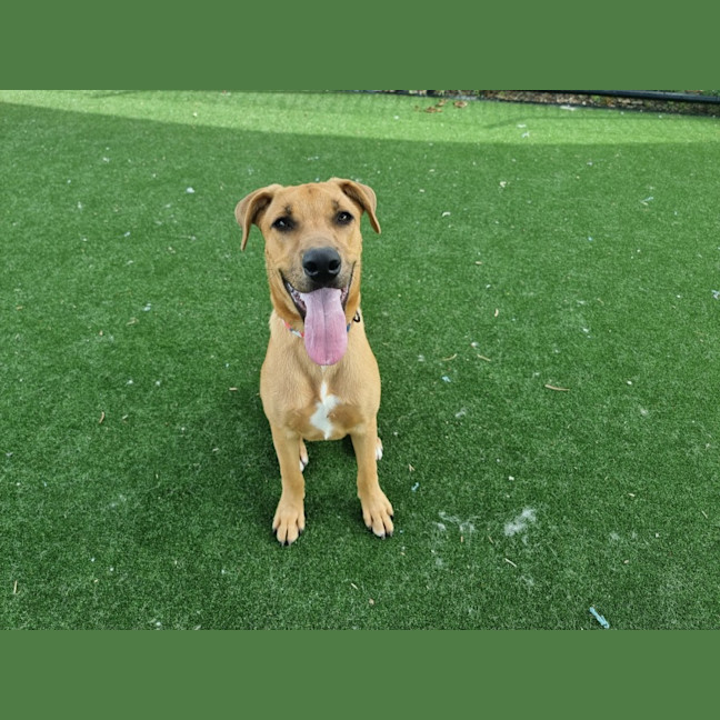 Photo of Xena Imp 2533