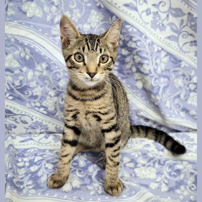 Photo of Breadcrumb 🍞🍞