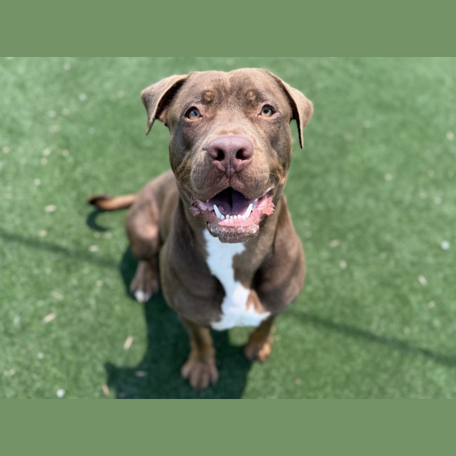 Photo of Phil Imp 23