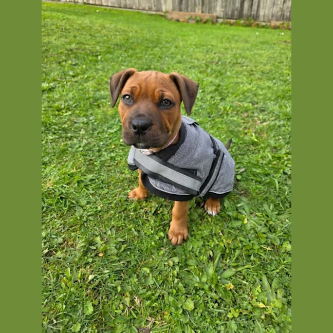 Photo of Storm