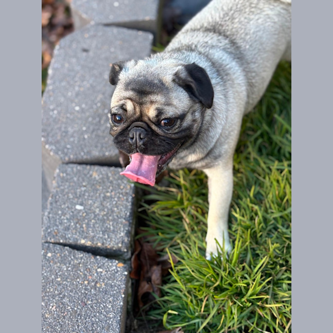Photo of Betty