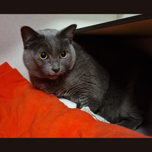 Photo of Mia