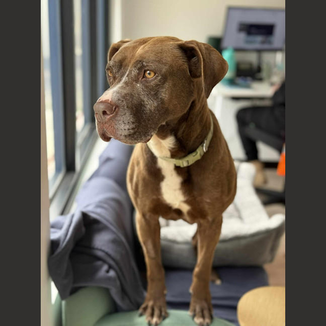 Photo of 🥓 Eazy 6370 🥓