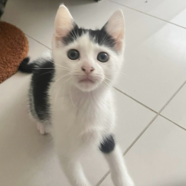 Photo of Delilah
