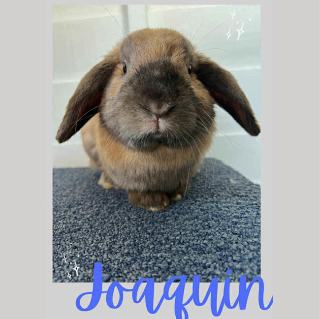 Photo of Joaquin 
